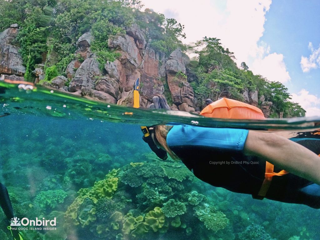 Phu Quoc snorkeling at Northeast Coral Reef