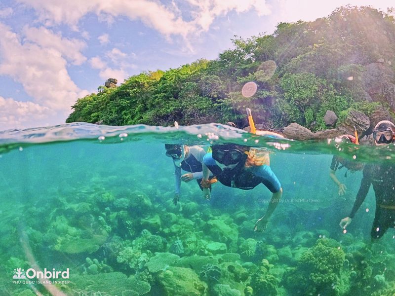 Phu Quoc snorkeling northeast coral reef