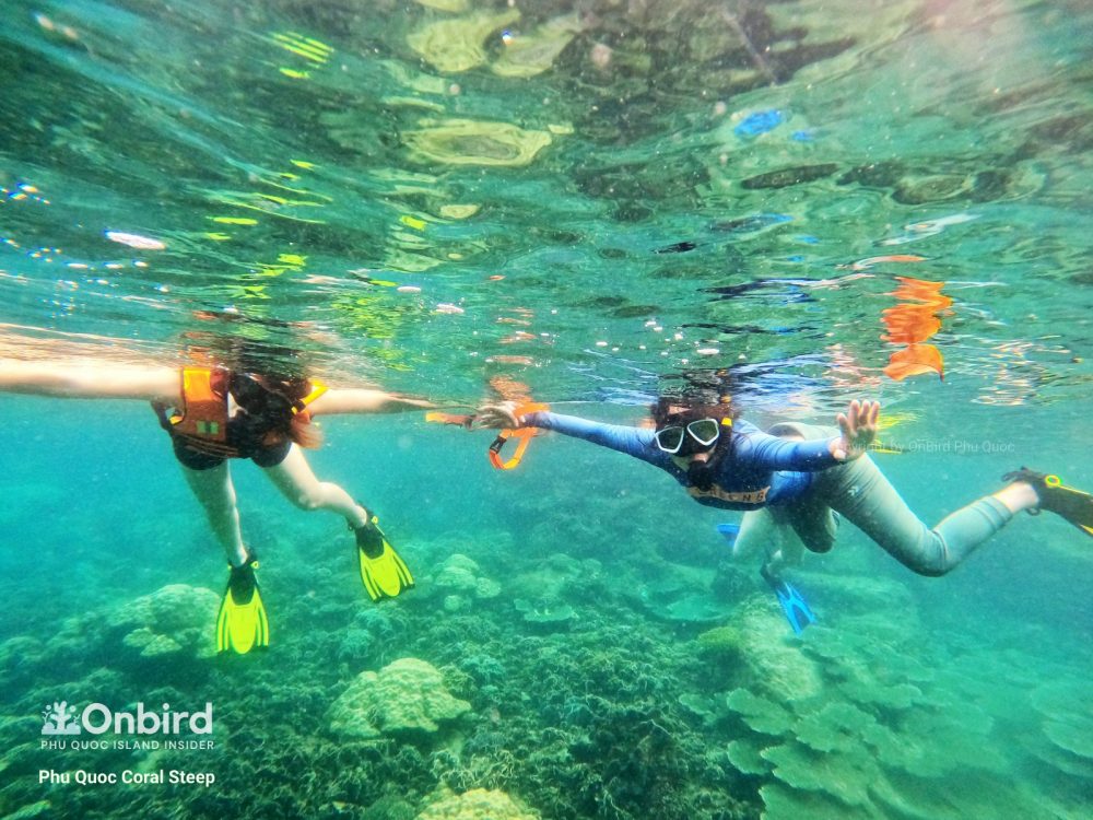 PHU QUOC SMALLGROUP SNORKELING WITH CROWDAVOIDING ROUTE (max 6 8