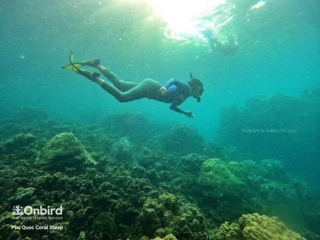 PRIVATE SNORKELING TRIP TO HALFMOON REEF & CORAL MOUNTAIN IN PHU QUOC