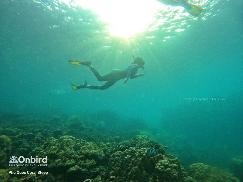 Snorkeling at Coral Steep Phu Quoc Island, Vietnam