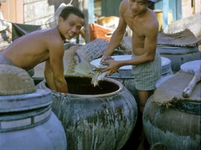 Phu Quoc fish sauce farm in the old days