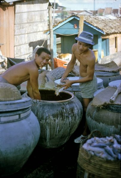 Nuoc Mam Phu Quoc - nguon Phu Quoc Xua