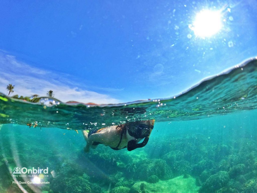 Small-group snorkeling trip in Phu Quoc Island, Vietnam - Coral Mountain