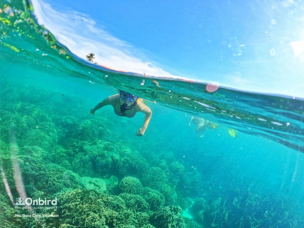 Small-group snorkeling trip in Phu Quoc Island, Vietnam - Coral Mountain