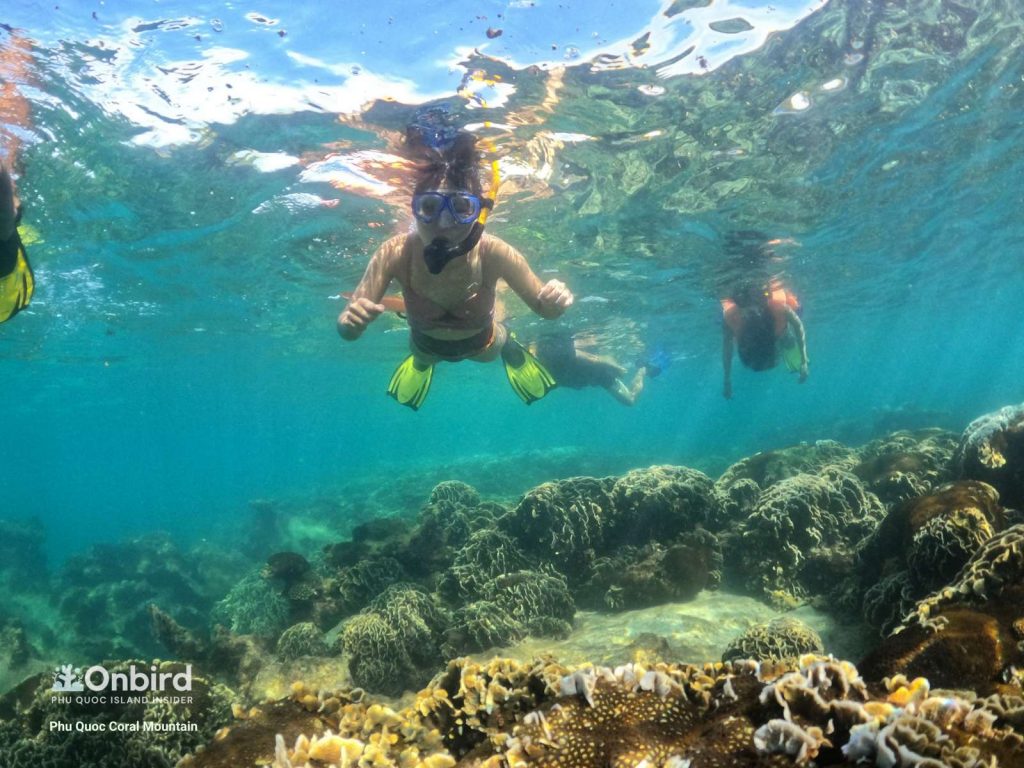 Small-group snorkeling trip in Phu Quoc Island, Vietnam - Coral Mountain