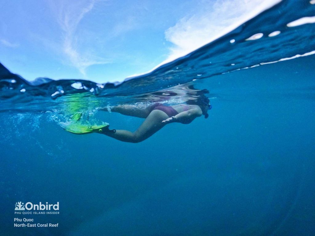 Khue enjoying the water in the North-east Coral Reef