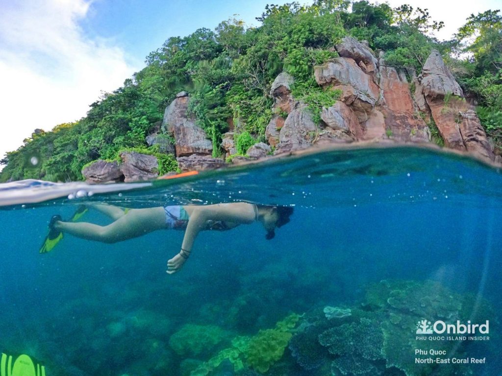 Anna took of her life vest and explore the North-east Coral reef at leisure with our guide's support