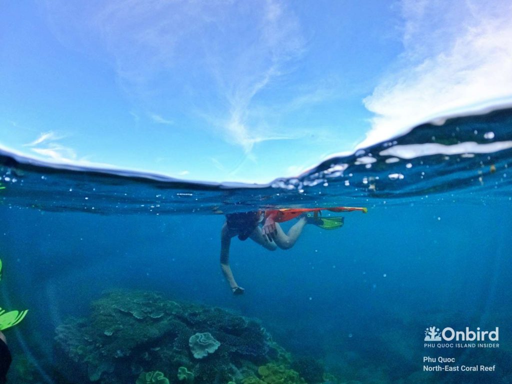 Anna took of her life vest and explore the North-east Coral reef at leisure with our guide's support