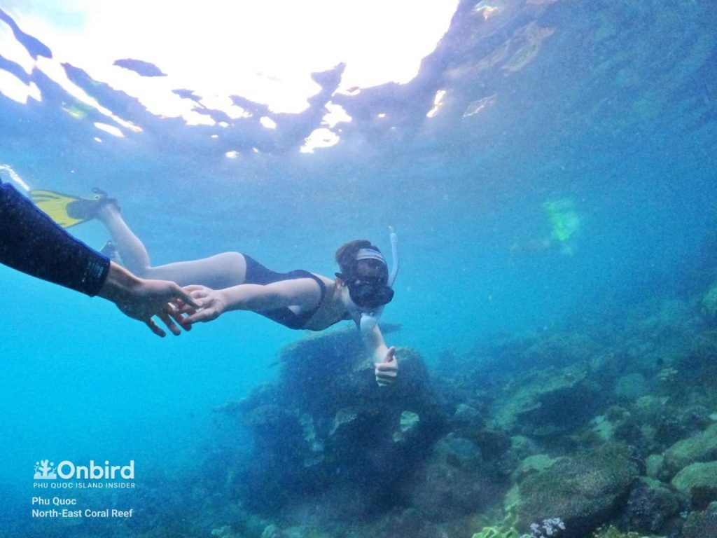 Meiji was trying to descend to see the coral city at North-east Coral Reef, Phu Quoc, Vietnam