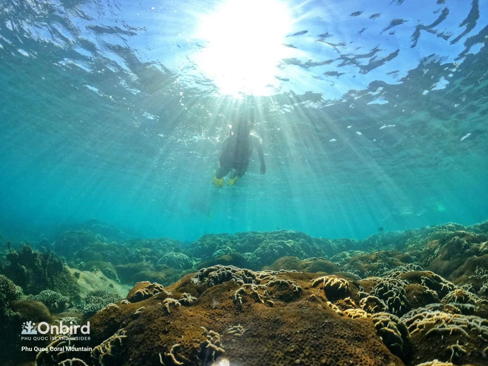 Meiji exploring the beauty of the Coral Mountain, Phu Quoc, Vietnam