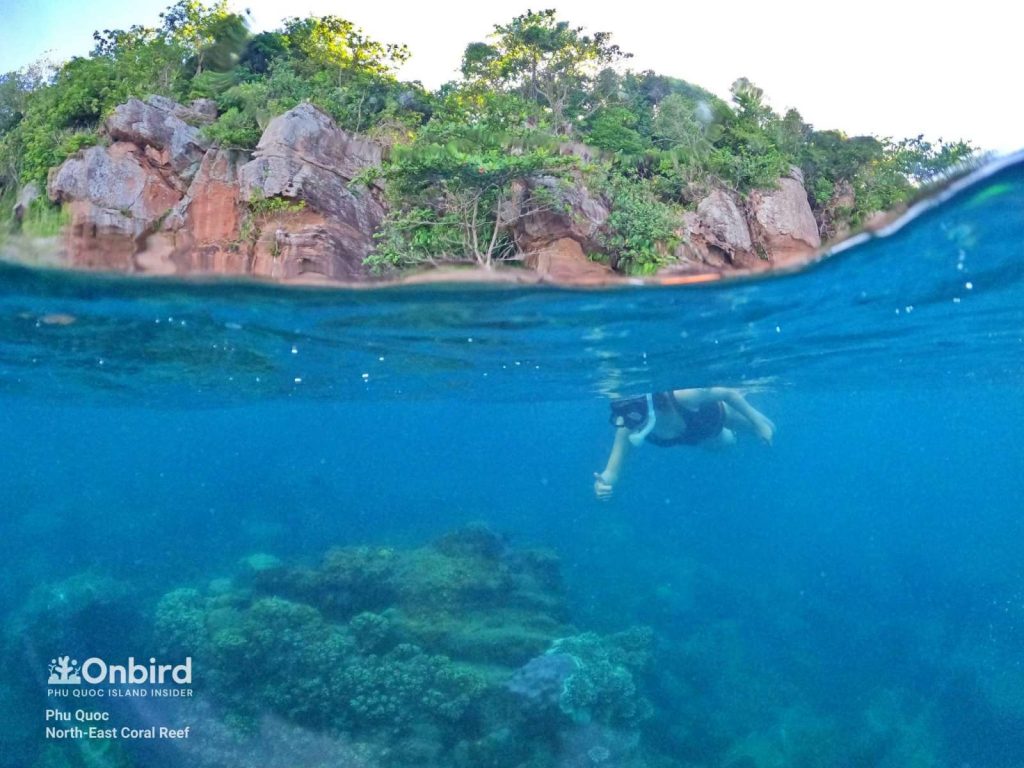 Meiji was happy when snorkeling to see the coral city at North-east Coral Reef, Phu Quoc, Vietnam
