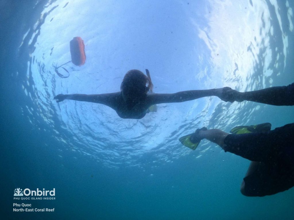 Batch Z3503430727687 616804425481571e00d08efef26303ac