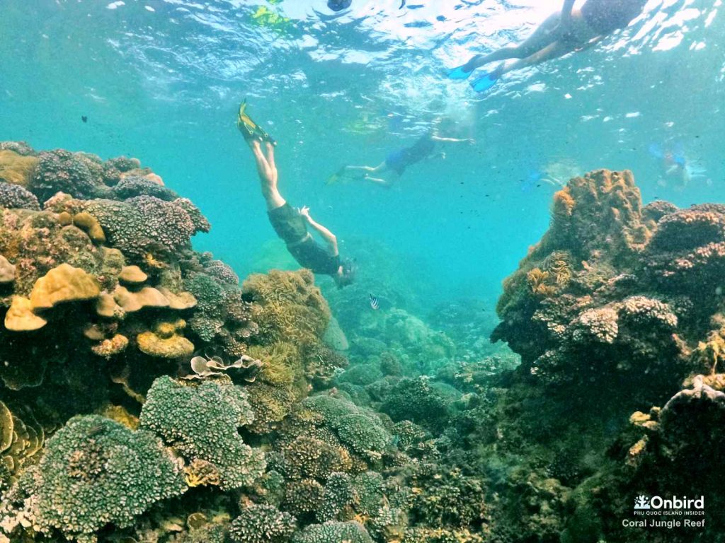 Lise dived into the water to see a fan coral at the Coral Jungle Reef, Phu Quoc Island, Vietnam