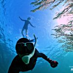 Explore Coral Jungle Reef, the heathiest coral reef in Phu Quoc Island, Vietnam