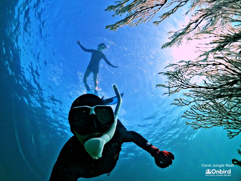 Explore Coral Jungle Reef, the heathiest coral reef in Phu Quoc Island, Vietnam