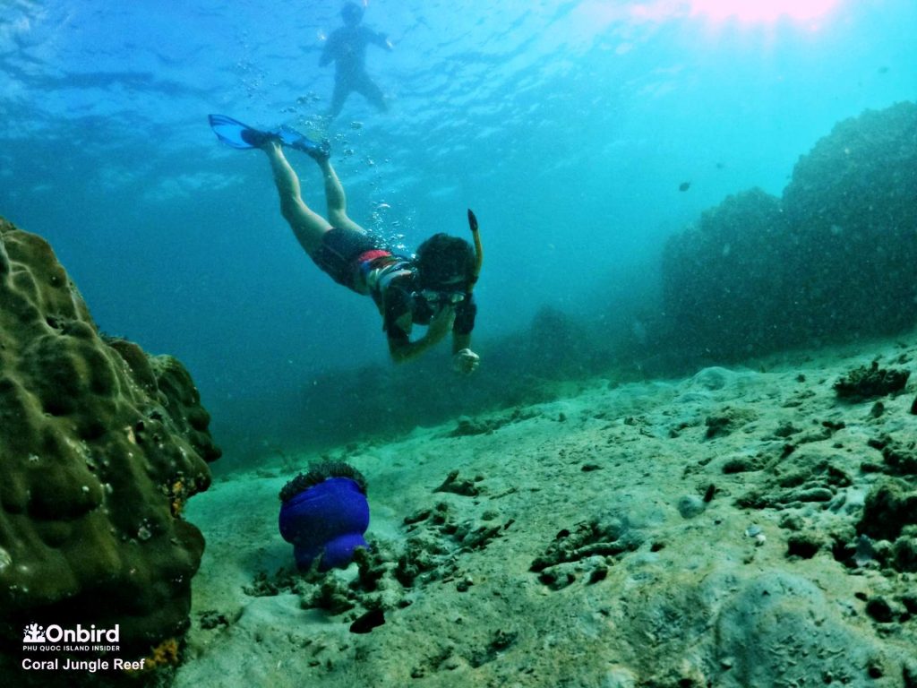 Explore Coral Jungle Reef, the heathiest coral reef in Phu Quoc Island, Vietnam