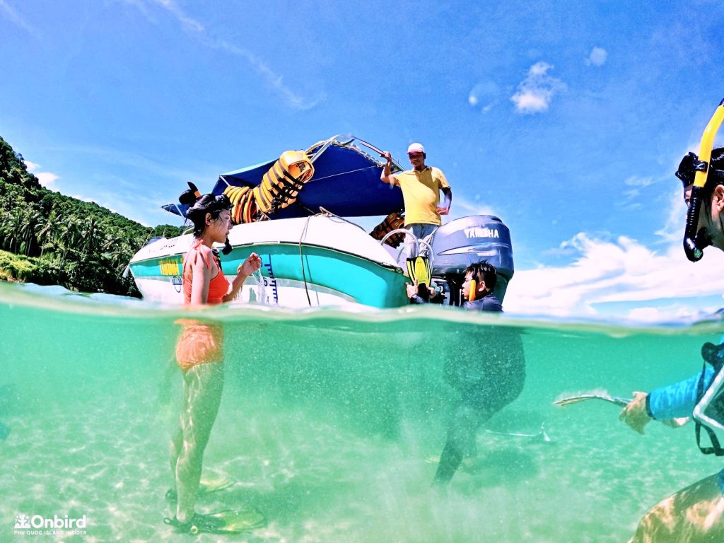 Dcim103goprogopr9480.jpg