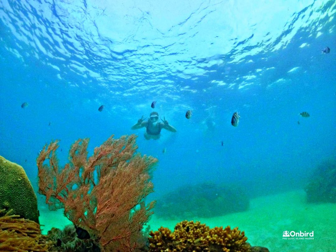 Coral Jungle Reef, Phu Quoc