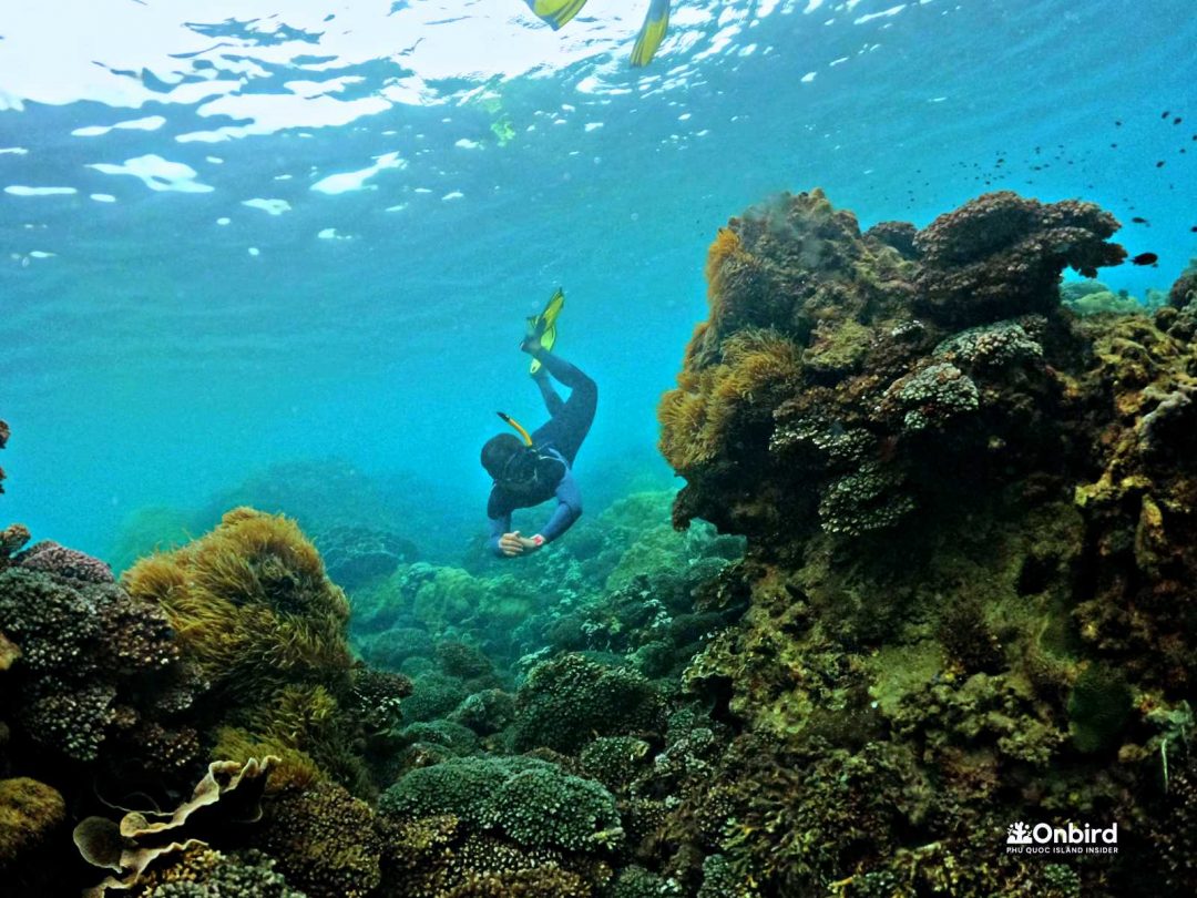 Dcim100goprogopr5418.jpg