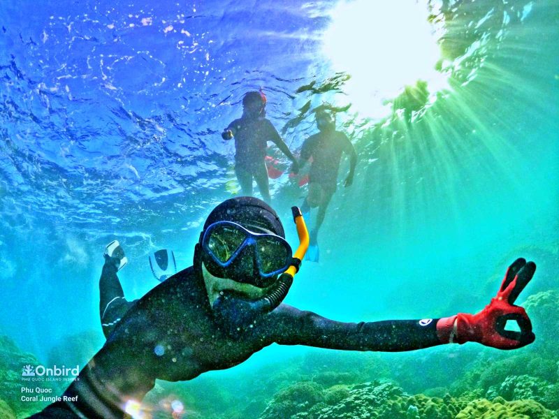 Batch Bleachingbatch Bleachingbatch Gopr4728