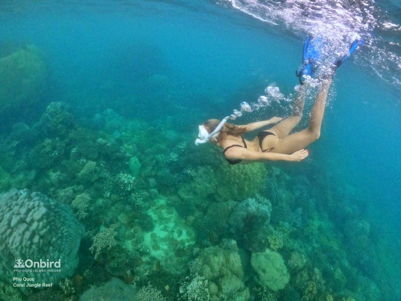 I lost in the "Coral City" in the North-east Coral Reef, Phu Quoc Island, Vietnam