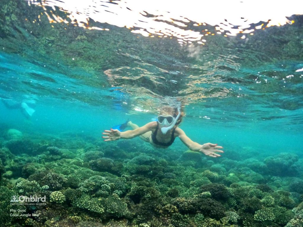 Coral Jungle Reef - the healthiest coral reef in Phu Quoc island, Vietnam