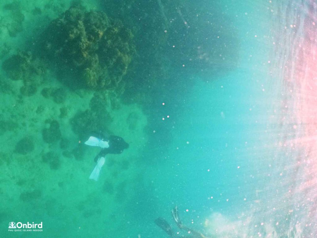 Remove ghost nets to save corals in Phu Quoc Island, Vietnam