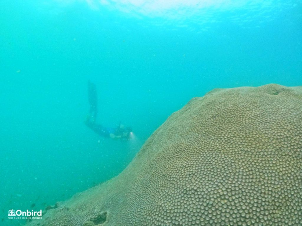 Scott Nguyen and his gear finding spots for underwater photography