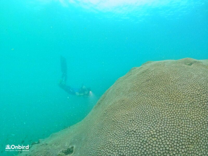 Scott Nguyen and his gear finding spots for underwater photography