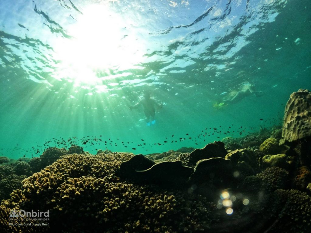 Batch Z3888196868672 A79bba7858c17716781ea600a29547e7