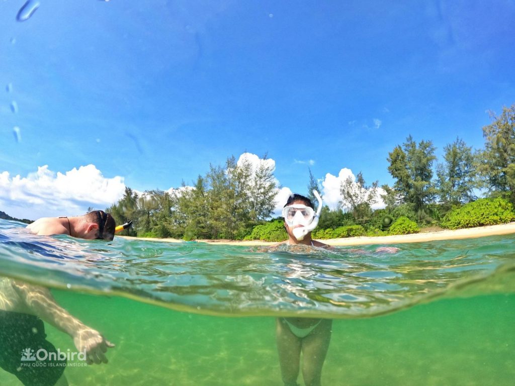 Batch Z3888196997407 40095063d3ac5d38d41179094216c700