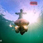 Jellyfish season in Phu Quoc Island, Vietnam Diving & Snorkeling