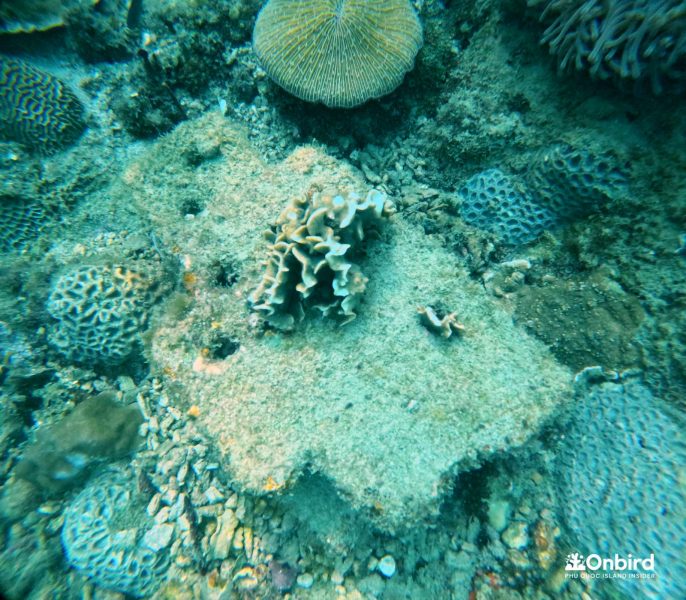 Dcim103goprogopr6272.jpg