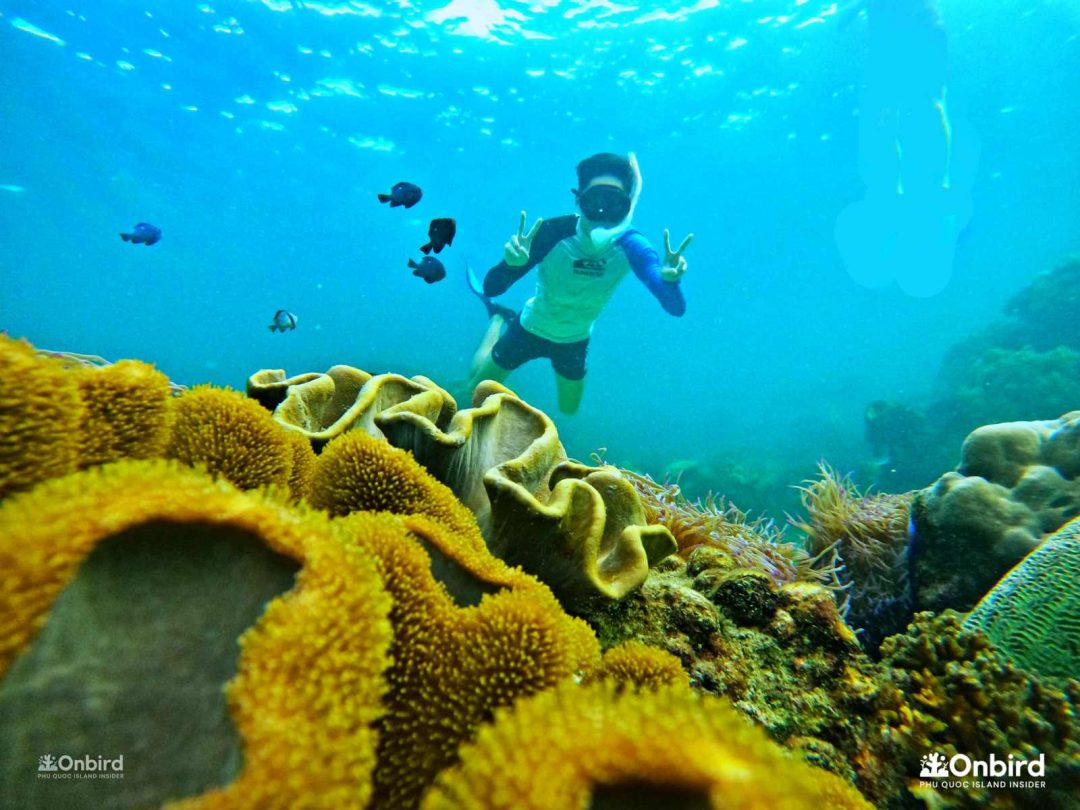 [Island Explorer] Island Hopping: 4 Islands and 3 Coral Reefs ...