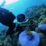 Professional and organized snorkeling & diving in Phu Quoc Island, Vietnam