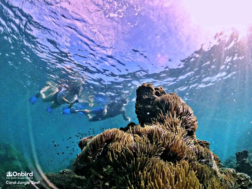 Dcim103goprogopr4773.jpg