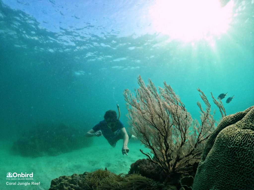 Lise dived into the water to see a fan coral at the Coral Jungle Reef, Phu Quoc Island, Vietnam