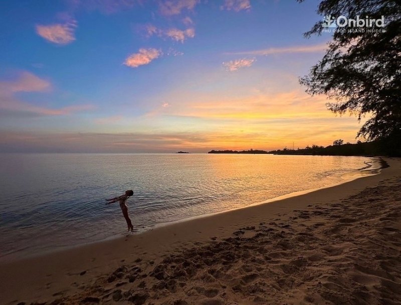 78299c490c2dd173883c17