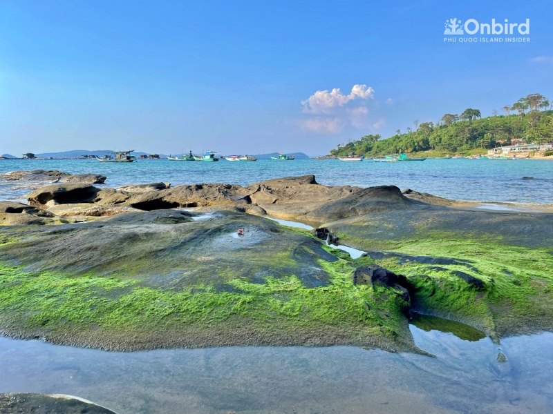 Ganh Dau Beach Phu Quoc Island (9)