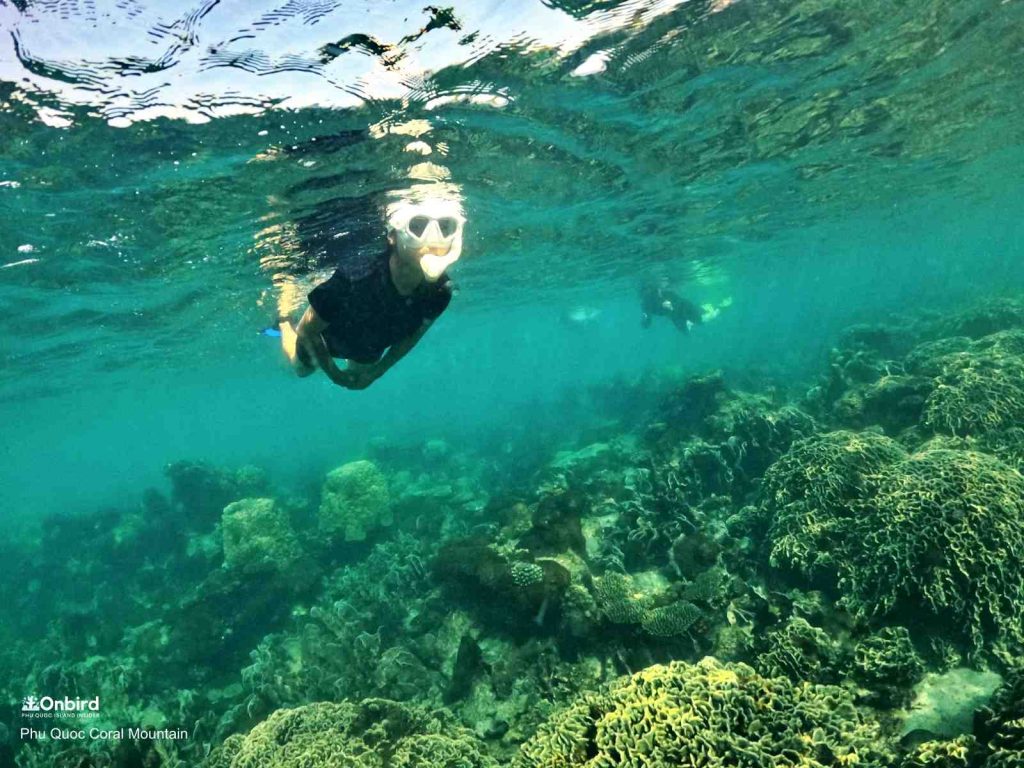 Professional diving mask for sale in Phu Quoc Island, Vietnam