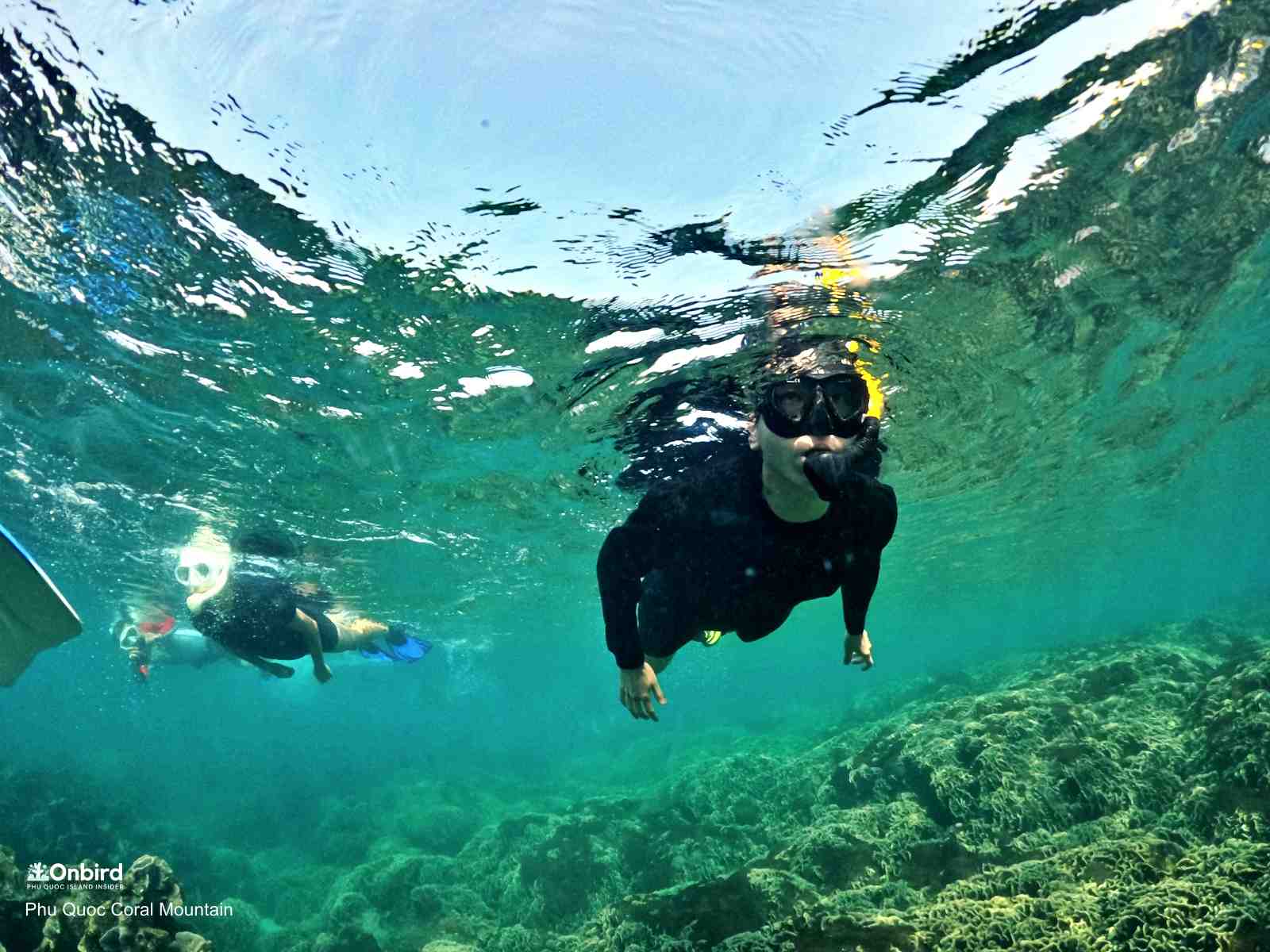 Professional diving mask for sale in Phu Quoc Island, Vietnam