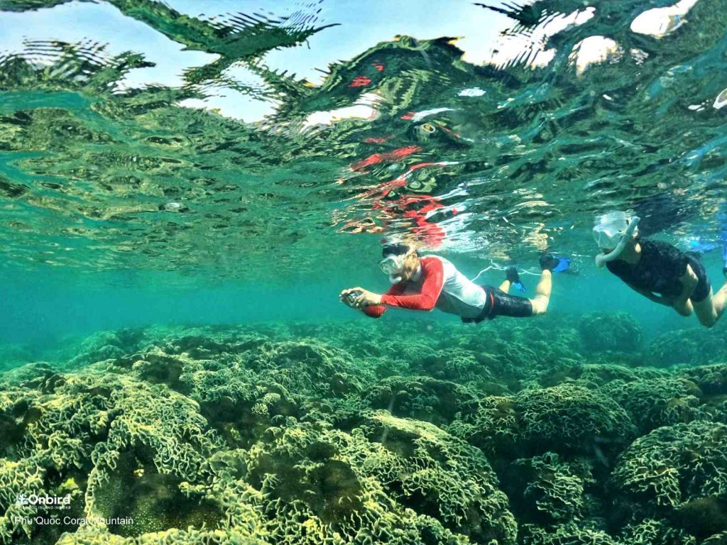 The anti-fog mask keep the glass clear during snorkeling time