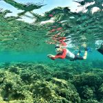 The anti-fog mask keep the glass clear during snorkeling time