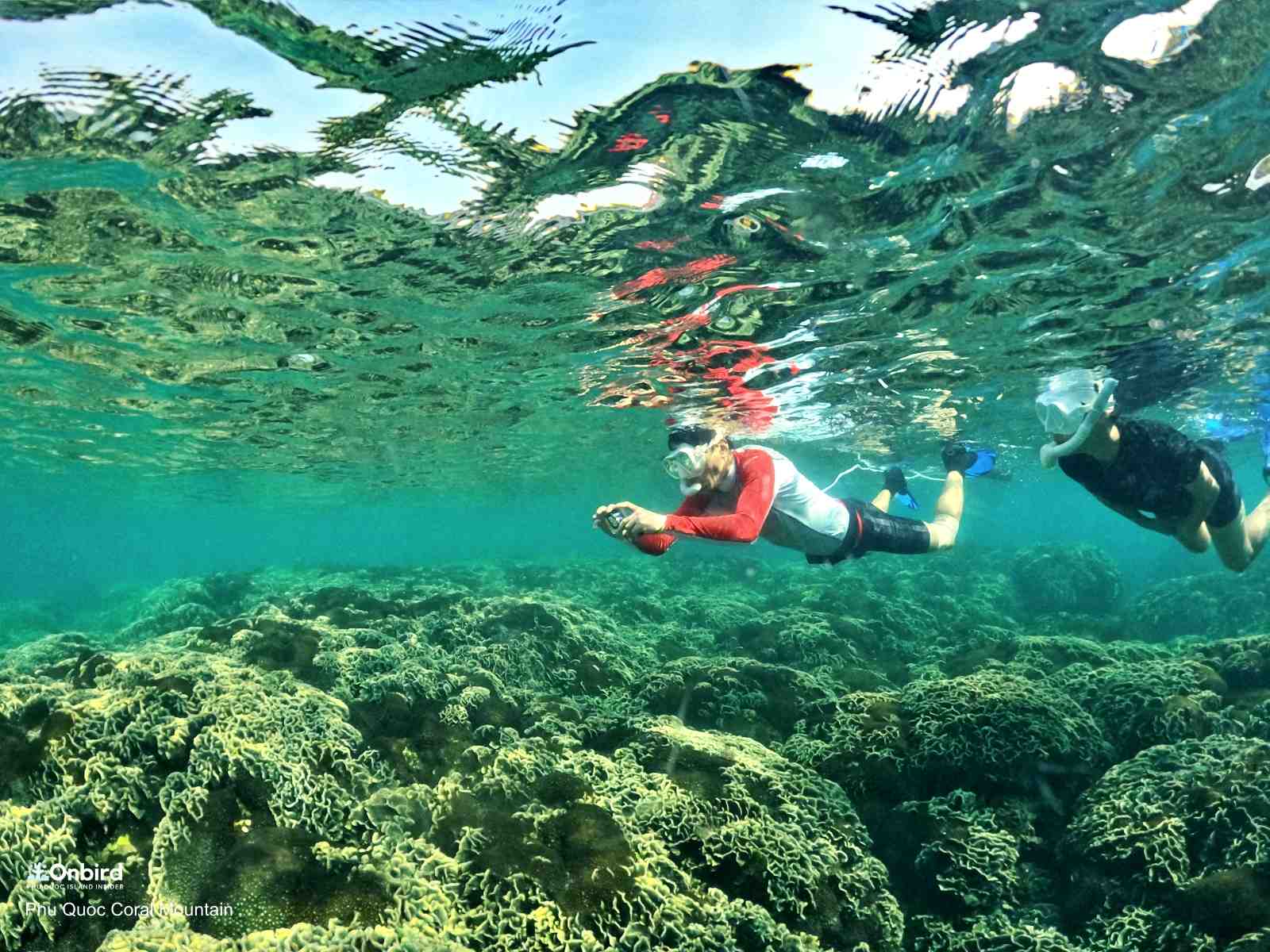 The anti-fog mask keep the glass clear during snorkeling time
