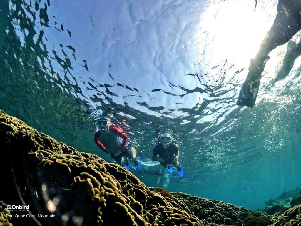 The anti-fog mask keep the glass clear during snorkeling time
