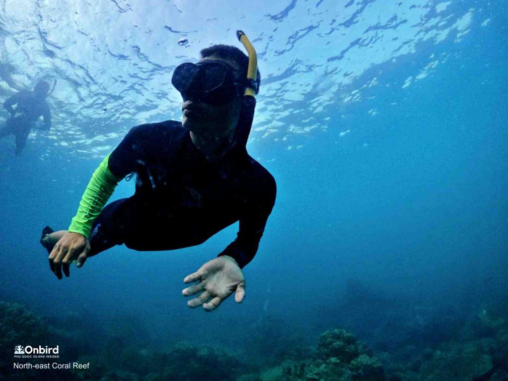 Professional diving mask for sale in Phu Quoc Island, Vietnam