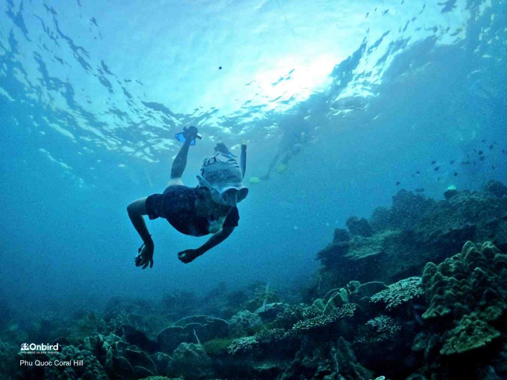 Professional diving mask for sale in Phu Quoc Island, Vietnam