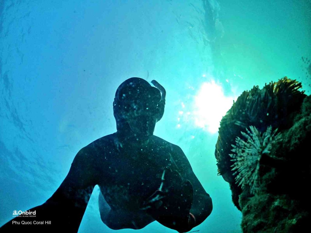 Professional diving mask for sale in Phu Quoc Island, Vietnam