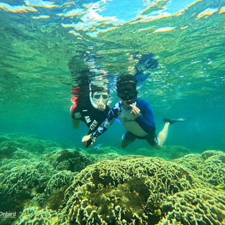 Professional Marine Life Discovery Snorkeling with small group in Phu Quoc Island, Vietnam
